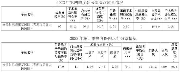 市五院-2022年芜湖市第四季度医疗服务信息公开_02.jpg